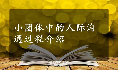 小团体中的人际沟通过程介绍