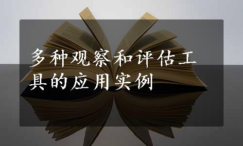 多种观察和评估工具的应用实例