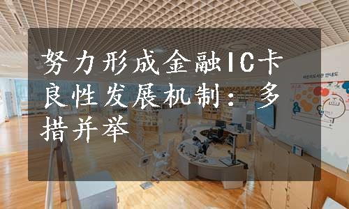 努力形成金融IC卡良性发展机制：多措并举