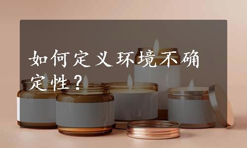 如何定义环境不确定性？