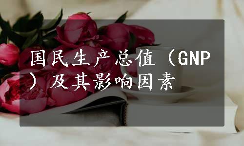 国民生产总值（GNP）及其影响因素