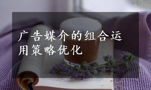 广告媒介的组合运用策略优化