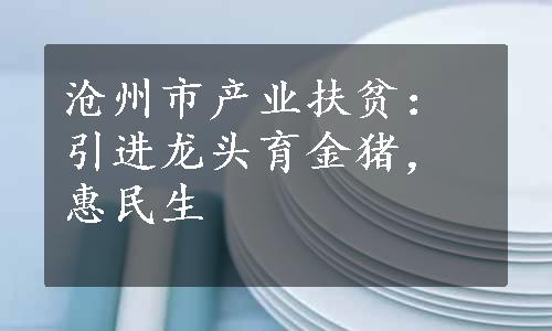 沧州市产业扶贫：引进龙头育金猪，惠民生