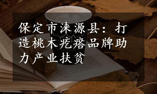 保定市涞源县：打造桃木疙瘩品牌助力产业扶贫