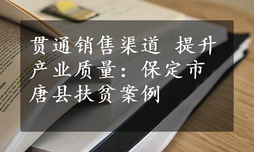 贯通销售渠道 提升产业质量：保定市唐县扶贫案例