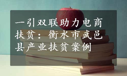 一引双联助力电商扶贫：衡水市武邑县产业扶贫案例