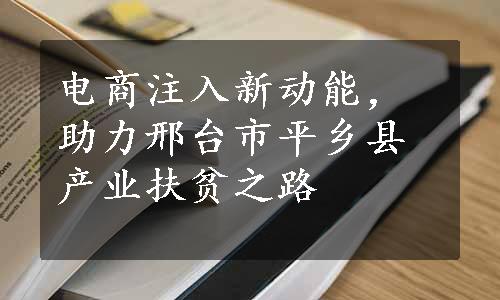 电商注入新动能，助力邢台市平乡县产业扶贫之路