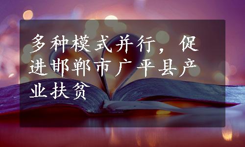 多种模式并行，促进邯郸市广平县产业扶贫