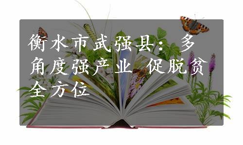 衡水市武强县：多角度强产业 促脱贫全方位