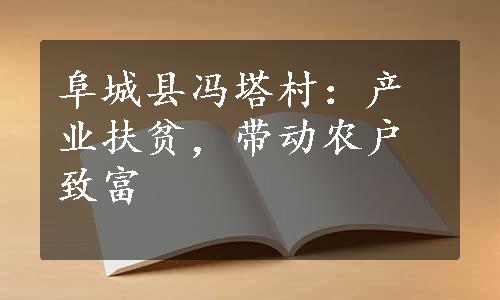 阜城县冯塔村：产业扶贫，带动农户致富