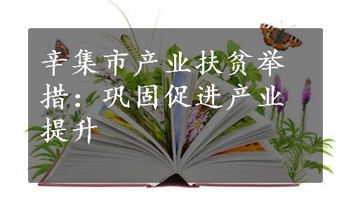 辛集市产业扶贫举措：巩固促进产业提升