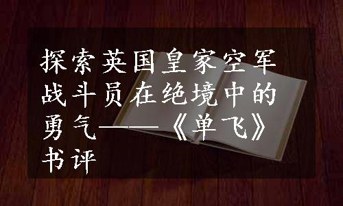 探索英国皇家空军战斗员在绝境中的勇气——《单飞》书评