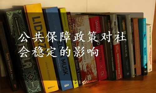 公共保障政策对社会稳定的影响