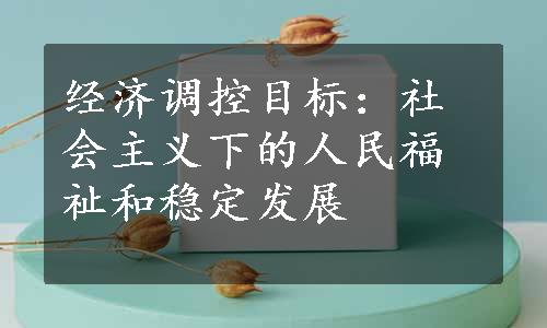 经济调控目标：社会主义下的人民福祉和稳定发展