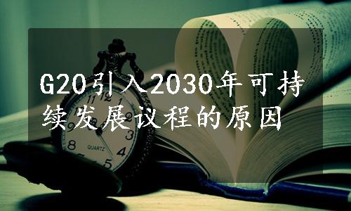 G20引入2030年可持续发展议程的原因