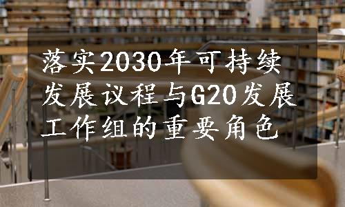 落实2030年可持续发展议程与G20发展工作组的重要角色