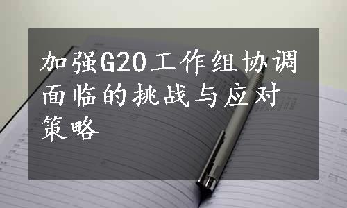 加强G20工作组协调面临的挑战与应对策略