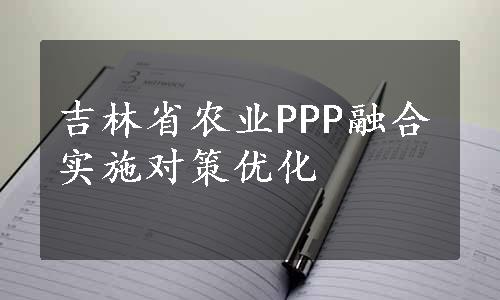 吉林省农业PPP融合实施对策优化