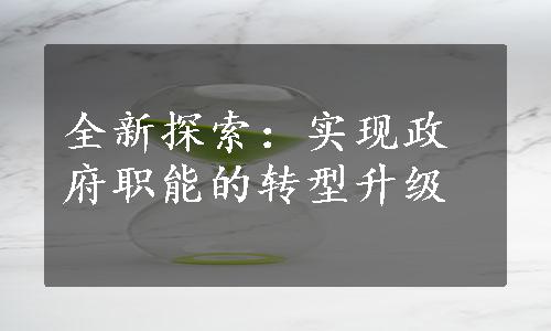 全新探索：实现政府职能的转型升级