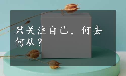 只关注自己，何去何从？