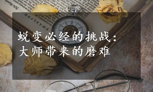 蜕变必经的挑战：大师带来的磨难