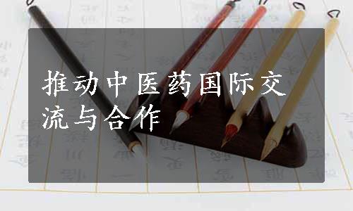 推动中医药国际交流与合作