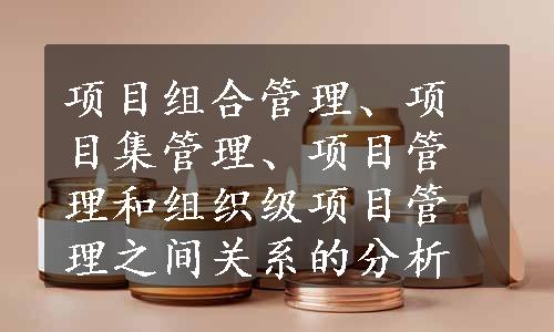 项目组合管理、项目集管理、项目管理和组织级项目管理之间关系的分析