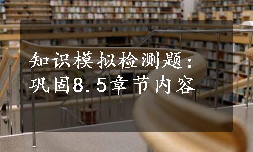 知识模拟检测题：巩固8.5章节内容