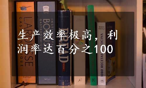 生产效率极高，利润率达百分之100