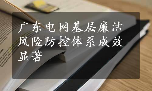 广东电网基层廉洁风险防控体系成效显著