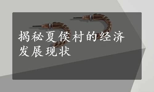 揭秘夏侯村的经济发展现状