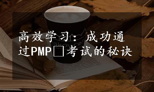 高效学习：成功通过PMP®考试的秘诀