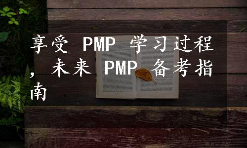 享受 PMP 学习过程，未来 PMP 备考指南