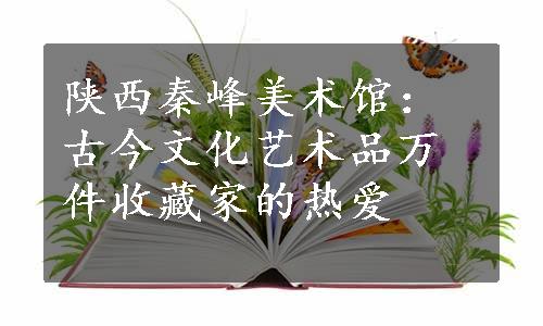 陕西秦峰美术馆：古今文化艺术品万件收藏家的热爱