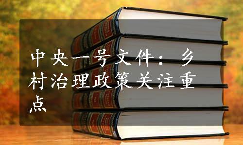 中央一号文件：乡村治理政策关注重点