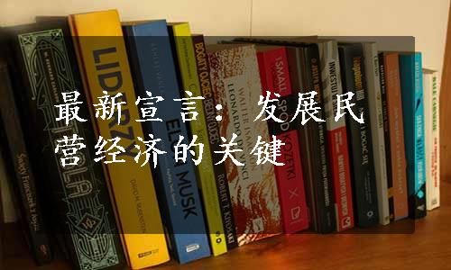 最新宣言：发展民营经济的关键