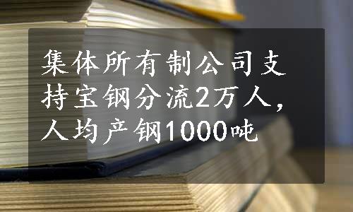 集体所有制公司支持宝钢分流2万人，人均产钢1000吨