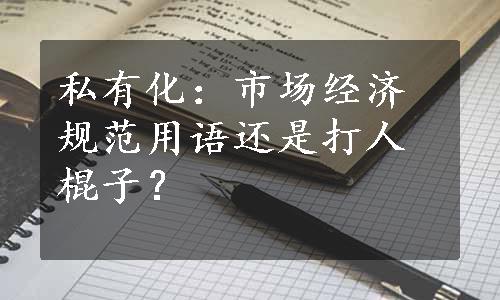 私有化：市场经济规范用语还是打人棍子？