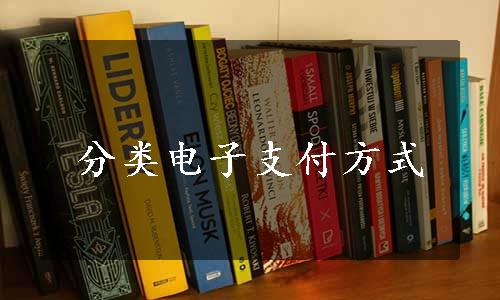 分类电子支付方式