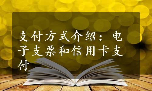 支付方式介绍：电子支票和信用卡支付