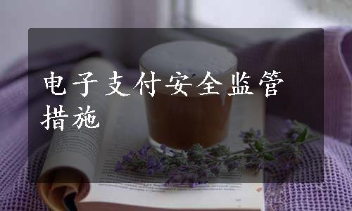 电子支付安全监管措施