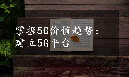 掌握5G价值趋势：建立5G平台