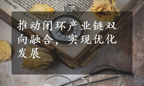 推动闭环产业链双向融合，实现优化发展