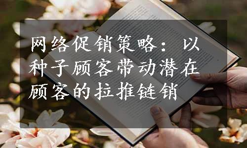 网络促销策略：以种子顾客带动潜在顾客的拉推链销