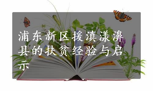 浦东新区援滇漾濞县的扶贫经验与启示