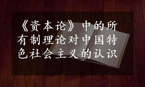 《资本论》中的所有制理论对中国特色社会主义的认识