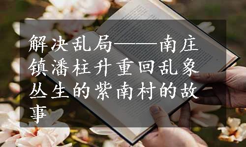 解决乱局——南庄镇潘柱升重回乱象丛生的紫南村的故事