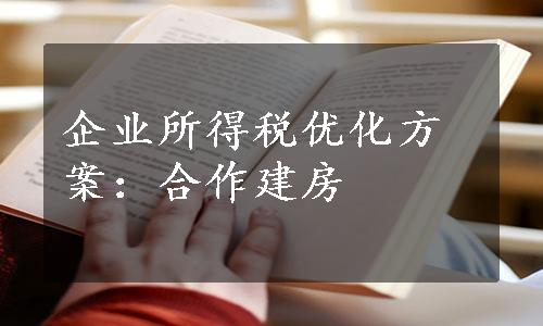 企业所得税优化方案：合作建房