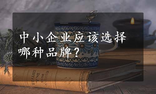 中小企业应该选择哪种品牌？