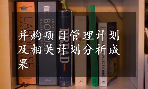 并购项目管理计划及相关计划分析成果